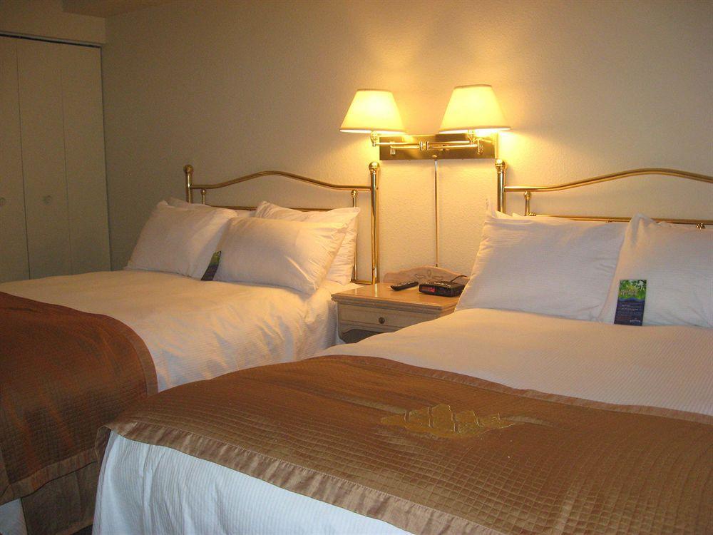 Holiday Inn Express Hotel & Suites Uptown Fredericton By Ihg Esterno foto
