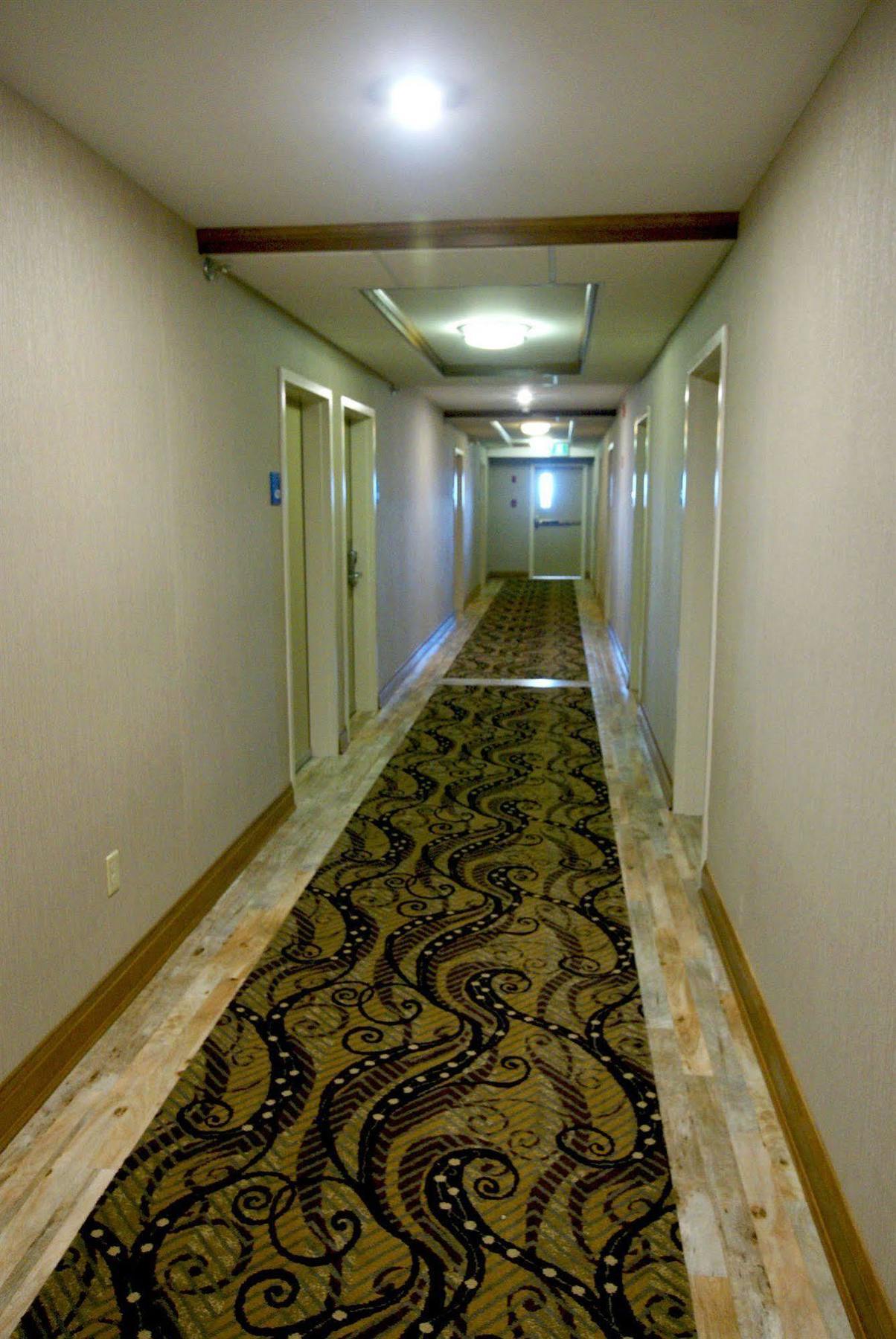 Holiday Inn Express Hotel & Suites Uptown Fredericton By Ihg Esterno foto